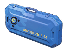eSports 2013 Winter Case CS2 case