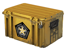 Gamma 2 Case CS2 case