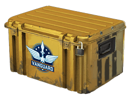 Operation Vanguard Weapon Case CS2 case