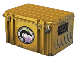 Recoil Case CS2 case