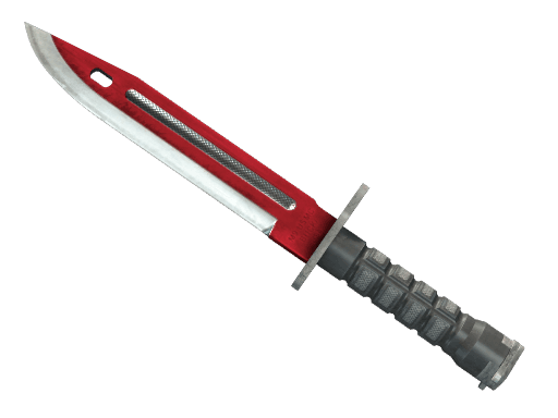 Bayonet Autotronic CS2 skin