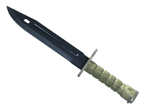 Bayonet Blue Steel CS2 skin