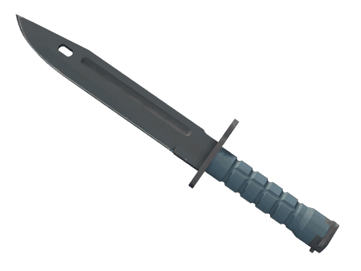Bayonet Night CS2 skin