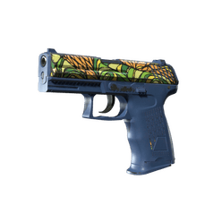 P2000 Corticera CS2 skin