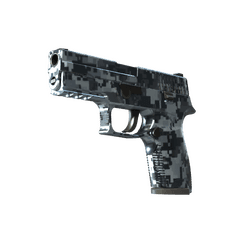 P250 Franklin CS2 skin