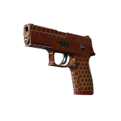 P250 Vino Primo CS2 skin