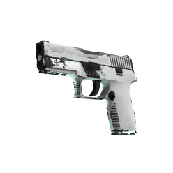 P250 Whiteout CS2 skin