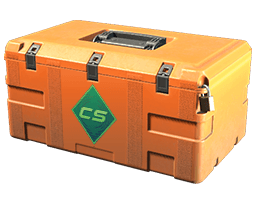 Gallery Case CS2 case - 1 skins available